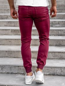 Ανδρικά μπορντό Joggers Bolf CT8808